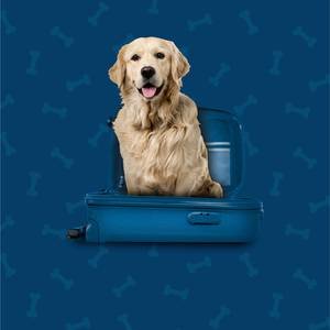 Pet Friendly Hotel ILUNION Les Corts – Spa Barcelona