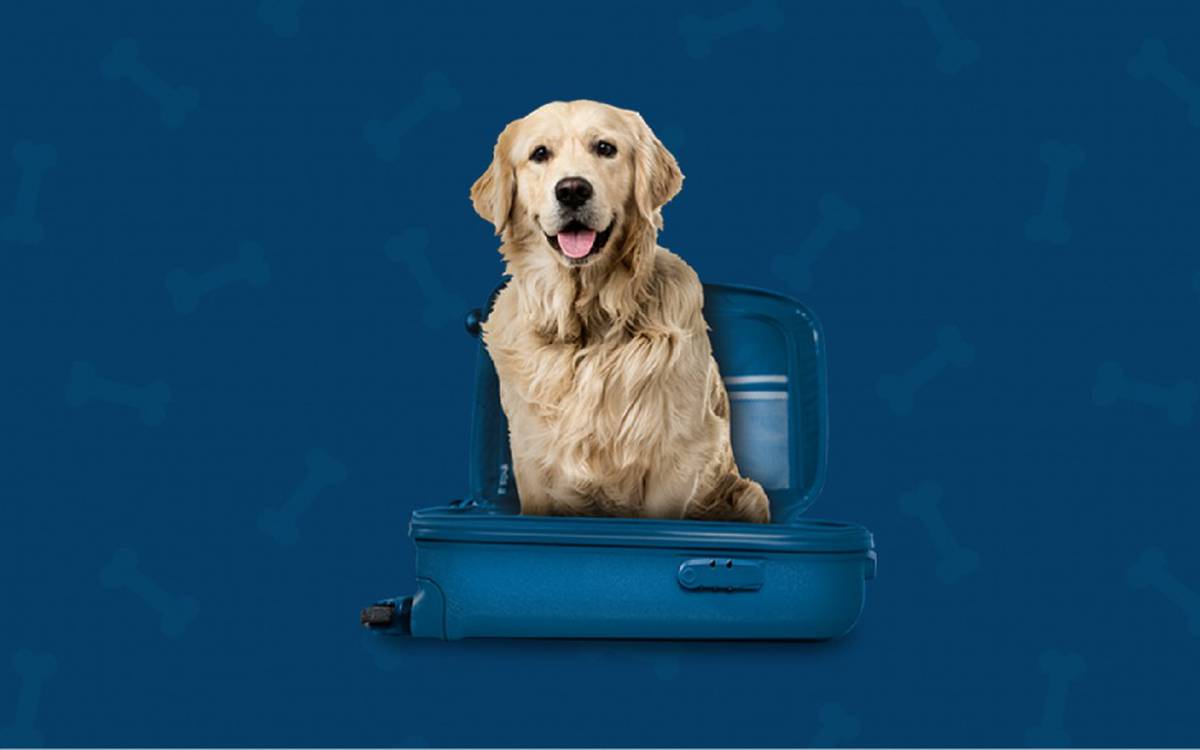 Somos pet friendly Hotel ILUNION Les Corts – Spa Barcelona Somos pet friendly Hotel ILUNION Les Corts – Spa Barcelona
